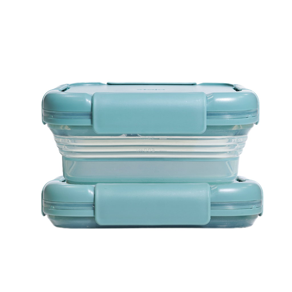 Collapsible Bento Container